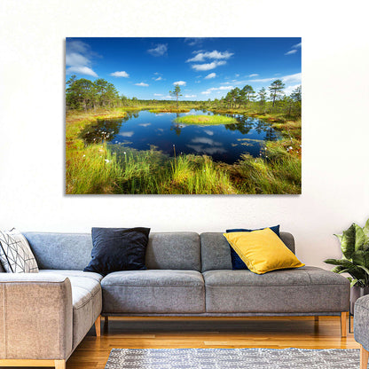 Viru Bogs Reflections Wall Art