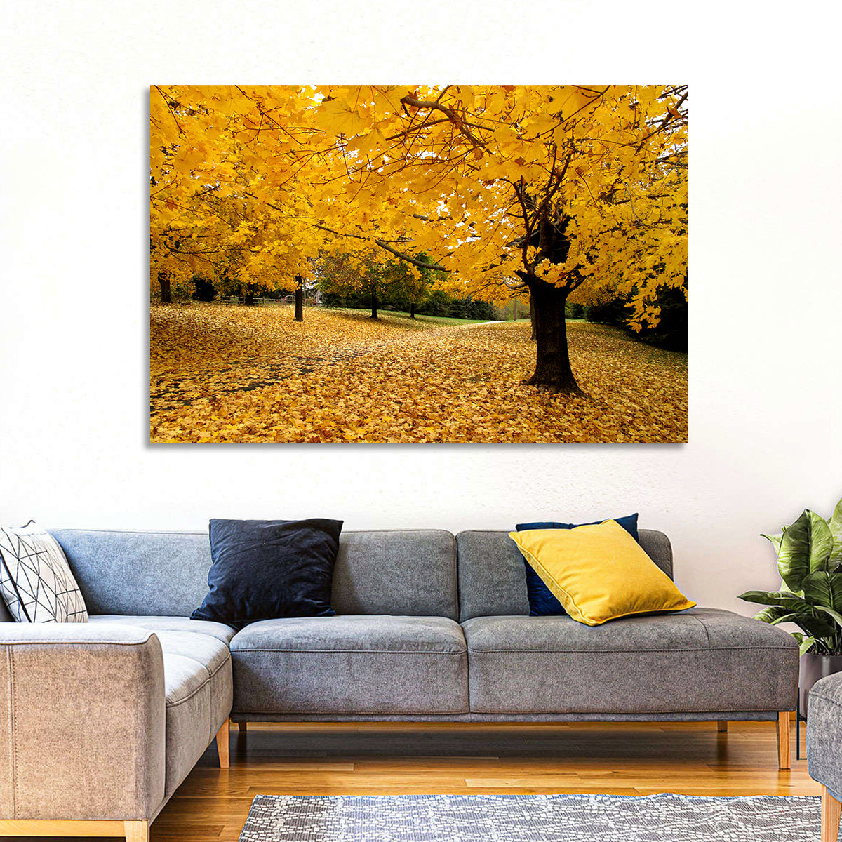Baltimore Autumn Foliage Wall Art in a room, landscape