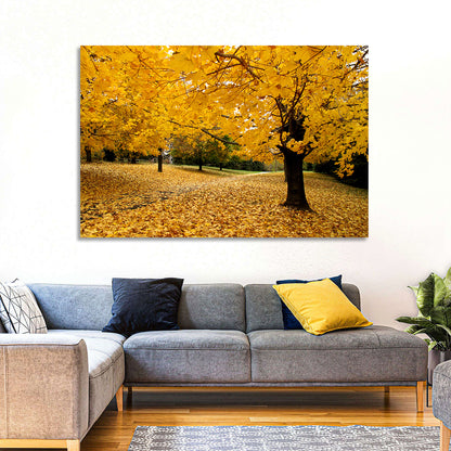 Baltimore Autumn Foliage Wall Art