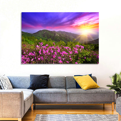 Hwangmaesan Mountain Sunset Wall Art