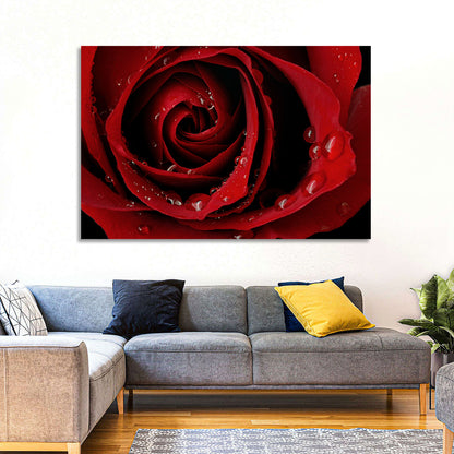 Red Rose with Dew Drops Wall Art