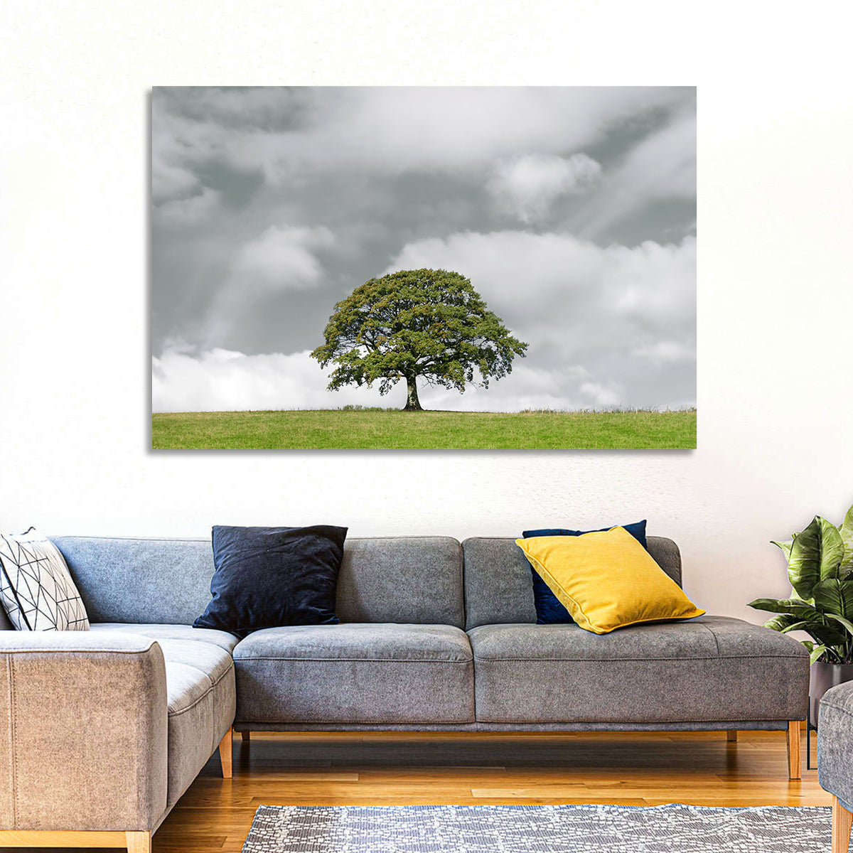 Solitary Oak in Meadow Wall Art in a room, landscape
