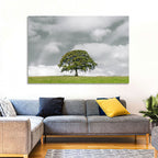 Solitary Oak in Meadow Wall Art