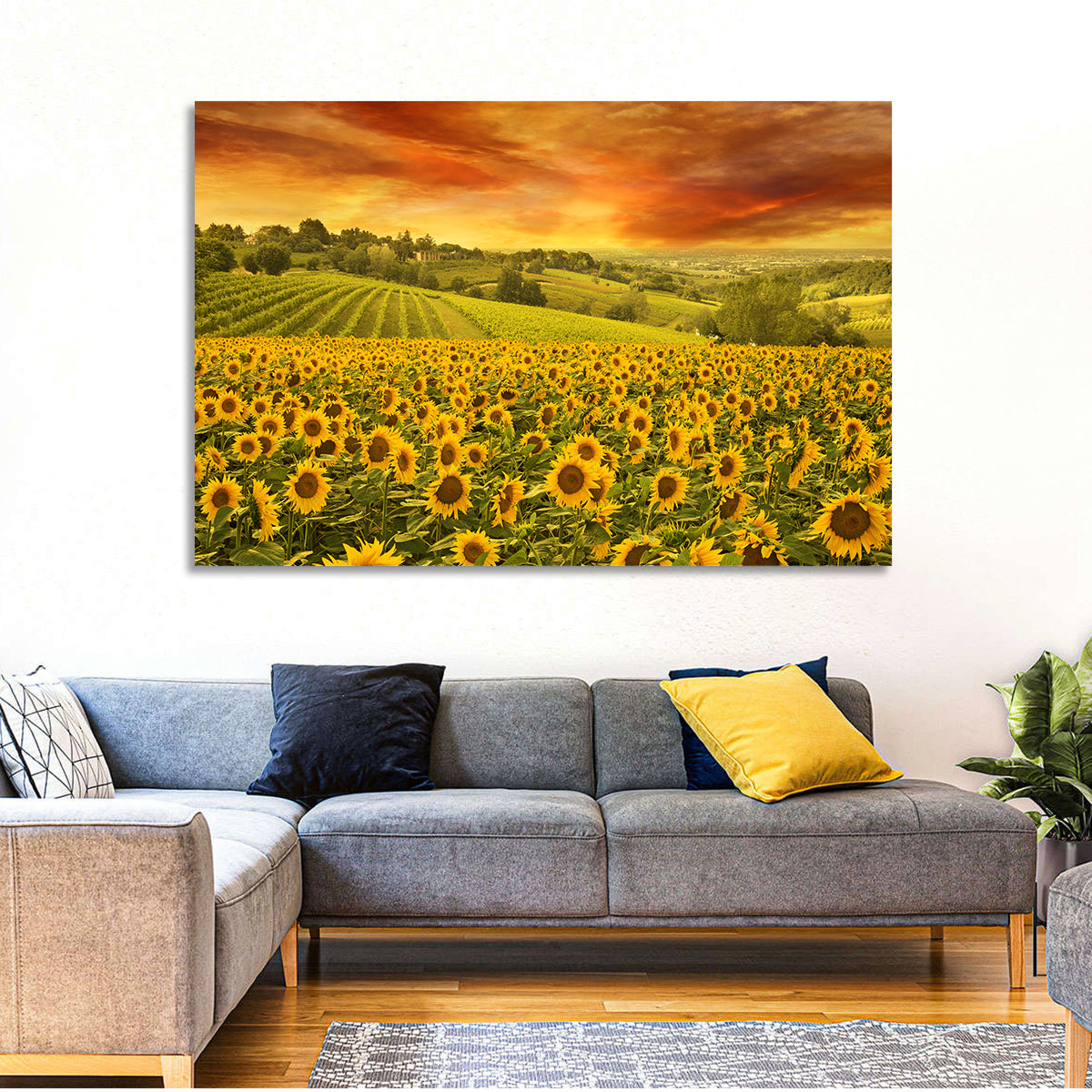 Sunflower Field at Golden Hour Wall Art in a room, landscape