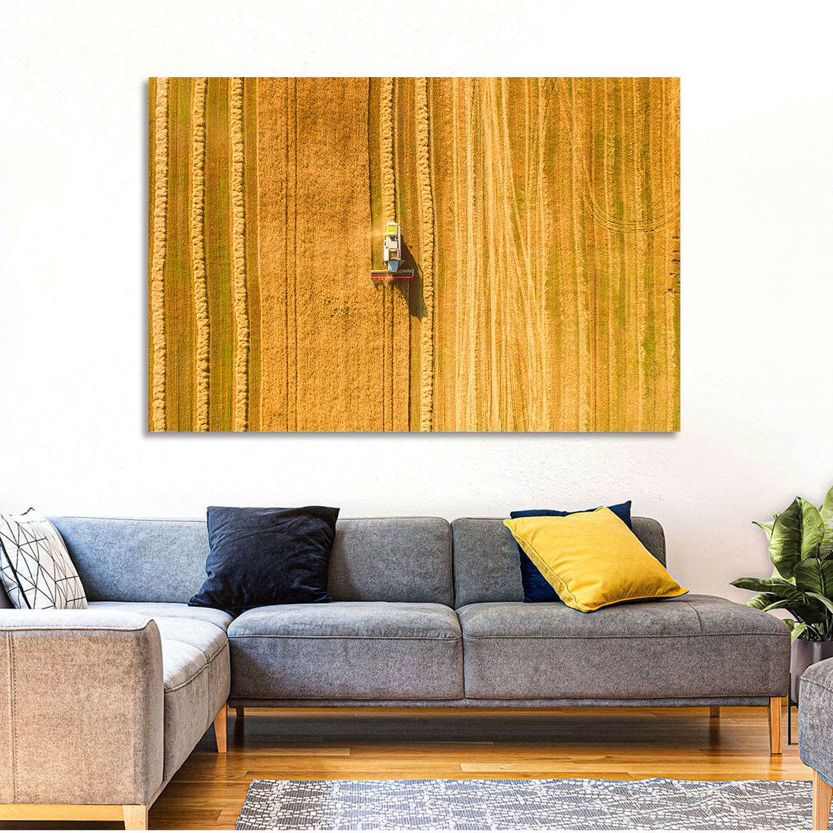 Aerial Wheat Harvest Wall Art in a room, landscape