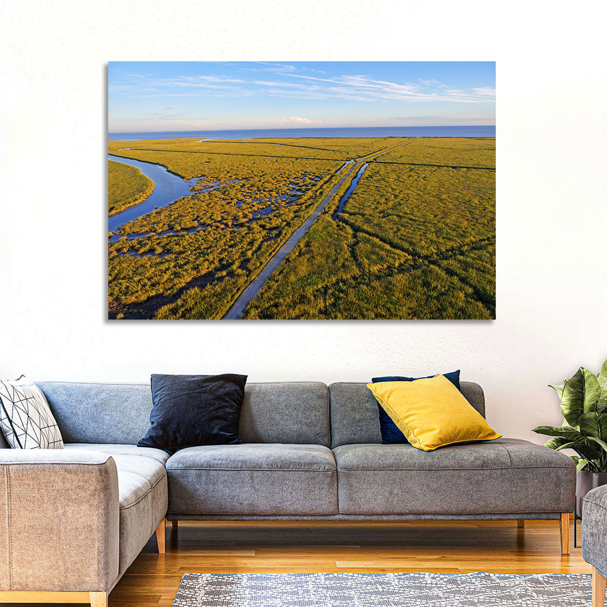 Delaware Bay Marshland Aerial Wall Art in a room, landscape