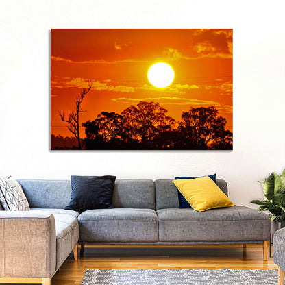 Burning Sun Over Tree Silhouettes Wall Art