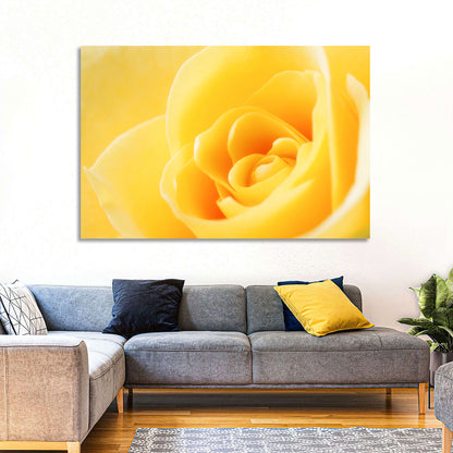 Soft-lit Yellow Rose Close-up Wall Art