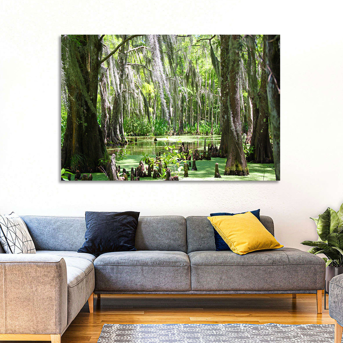 Louisiana Cypress Swamp Wall Art in a room, landscape