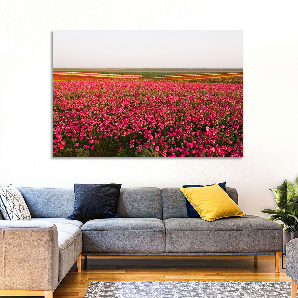 Pink Ranunculus Flower Field Wall Art in a room, landscape