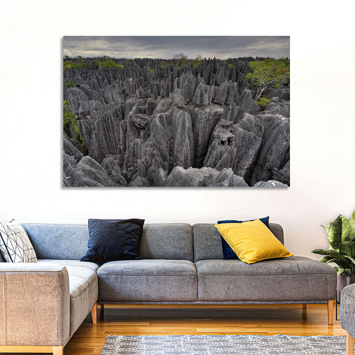 Tsingy De Bemaraha Pinnacles Wall Art