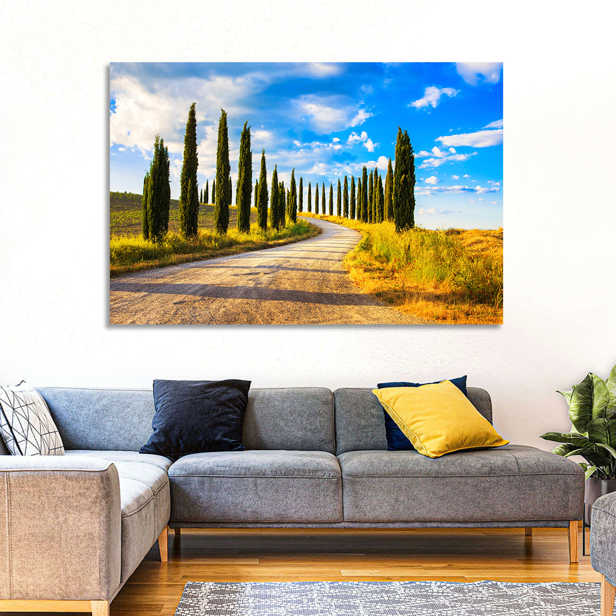Sunlit Tuscany Cypress Road Wall Art
