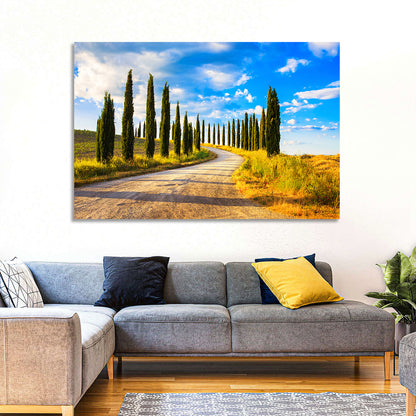 Sunlit Tuscany Cypress Road Wall Art
