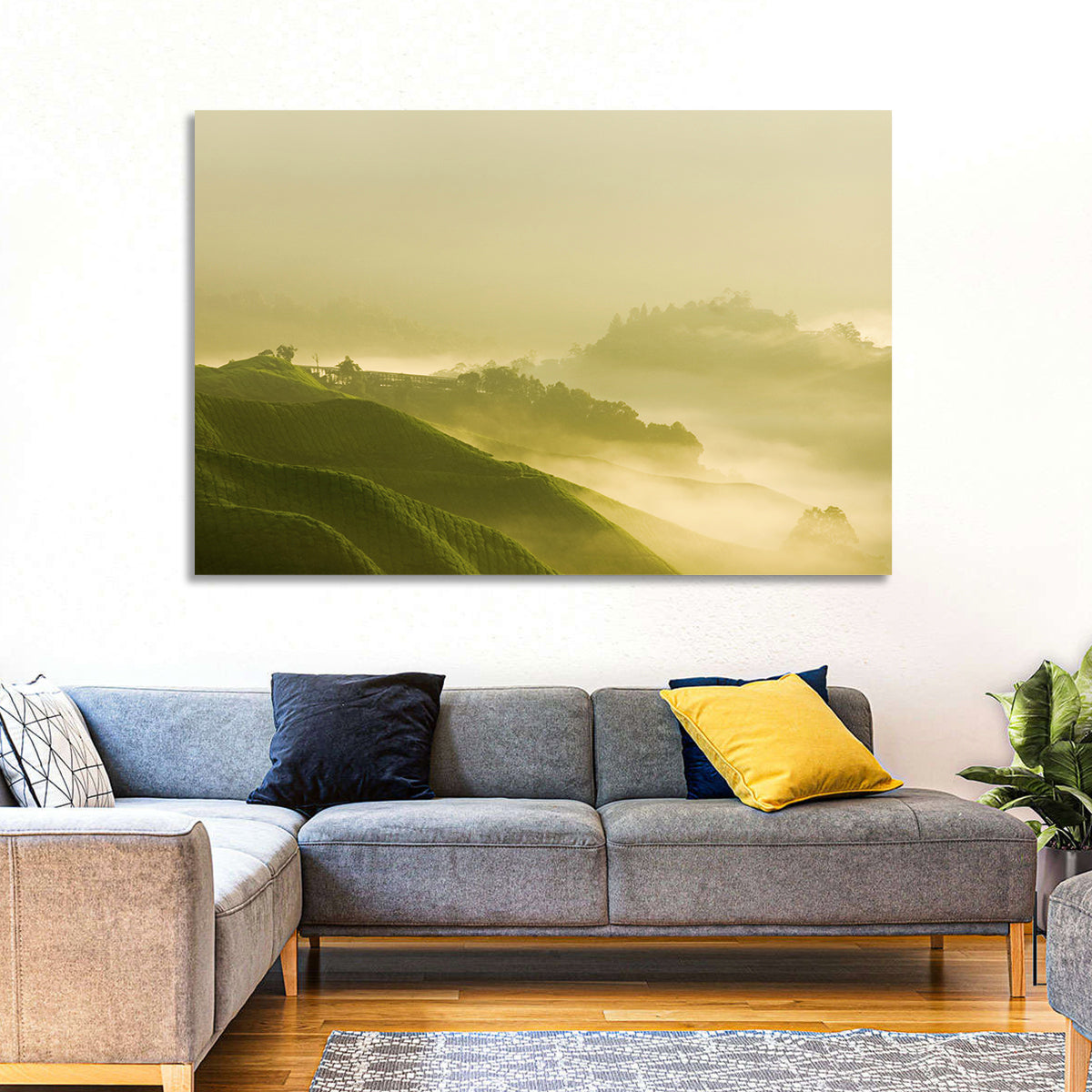Tea Plantation Morning Mist Wall Art in a room, landscape