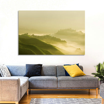 Tea Plantation Morning Mist Wall Art