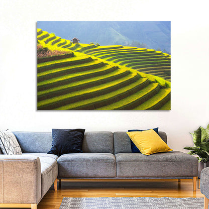 Mu Cang Chai Rice Terraces Wall Art