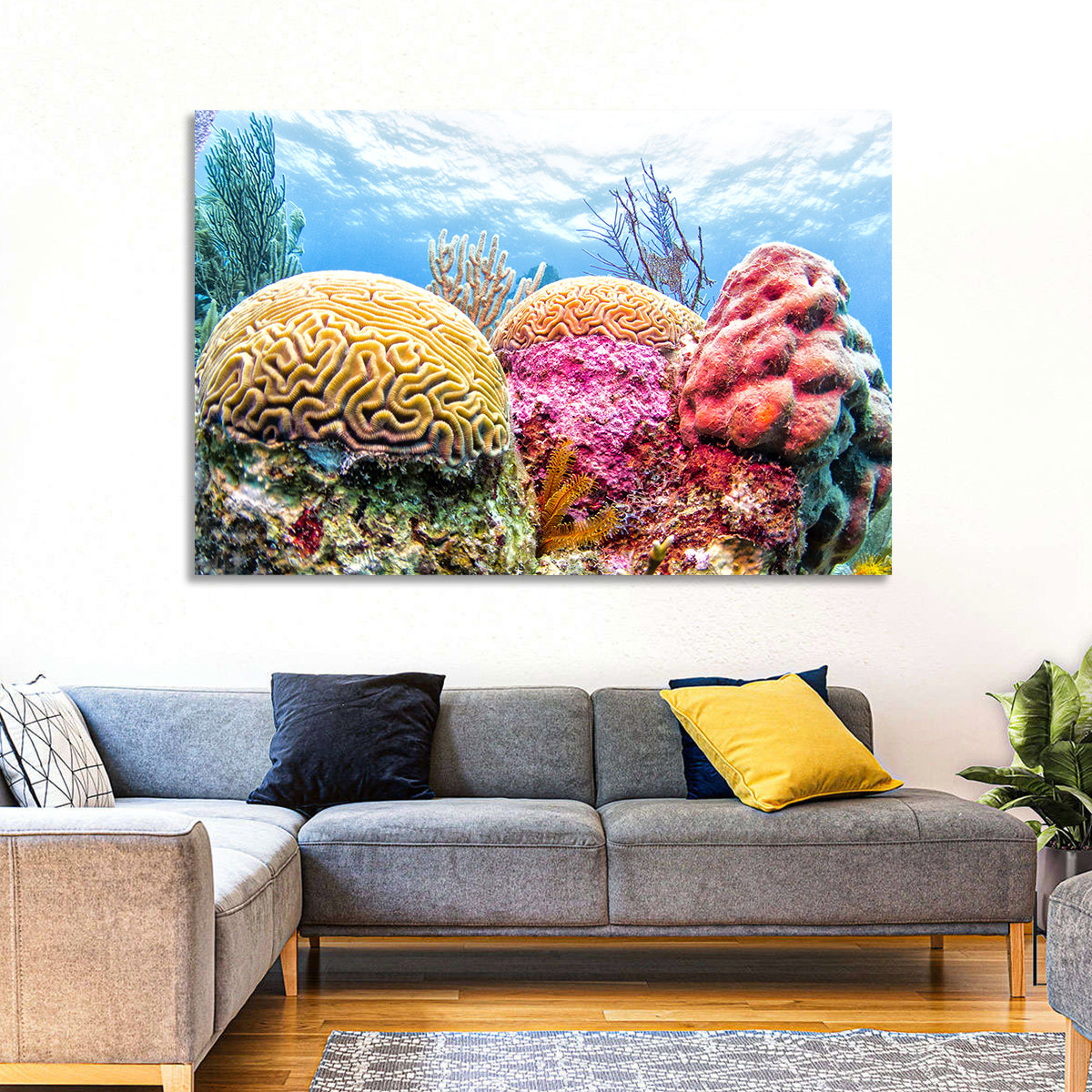 Vibrant Brain Coral Reef Wall Art in a room, landscape