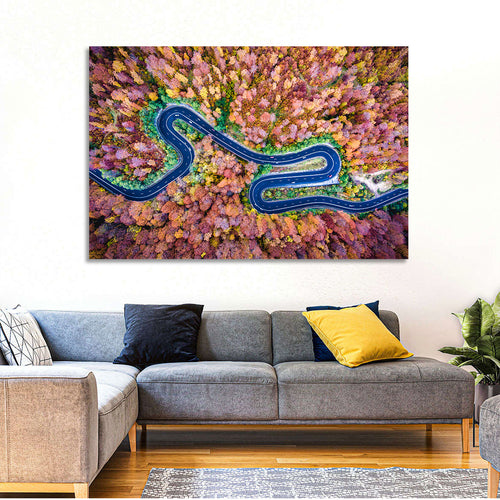 Aerial Winding Road Wall Art