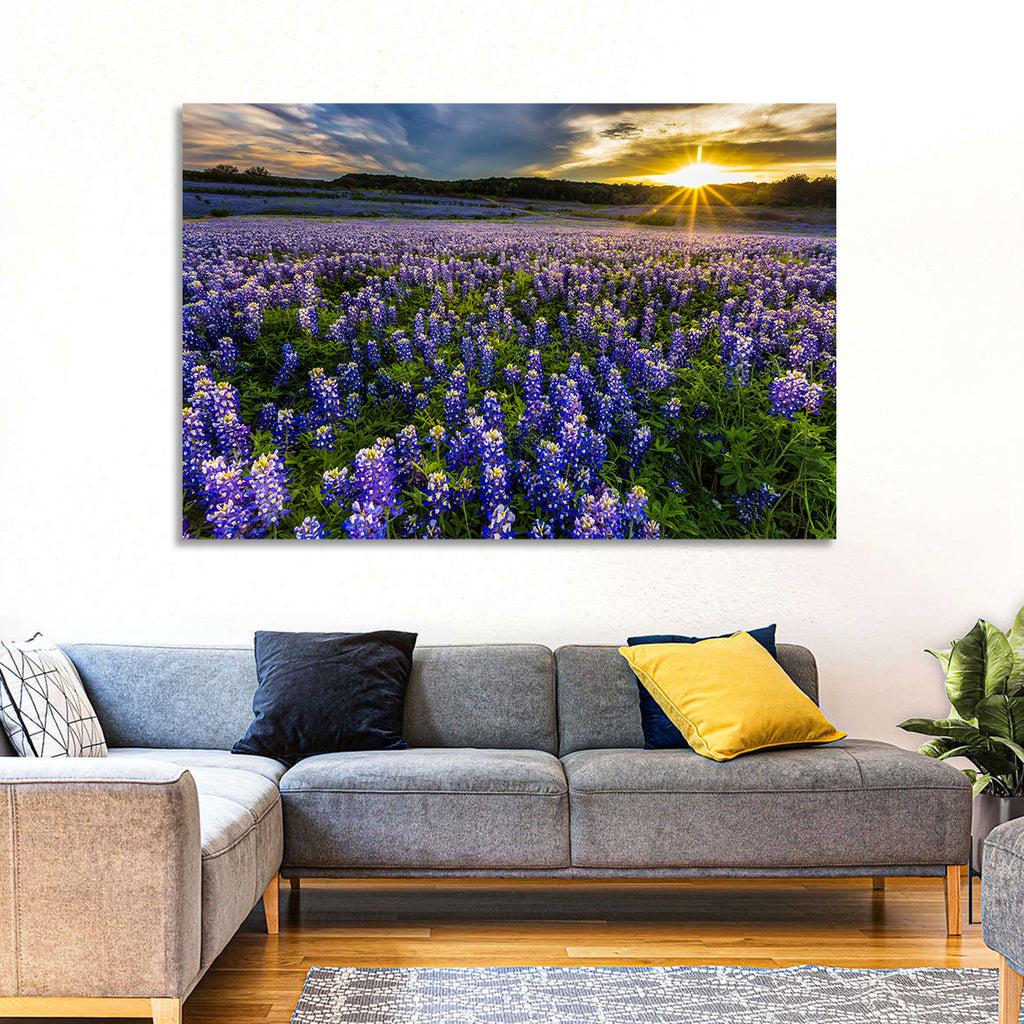 Texas Bluebonnet Field at Sunset Wall Art