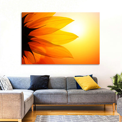 Backlit Sunflower Petals Wall Art