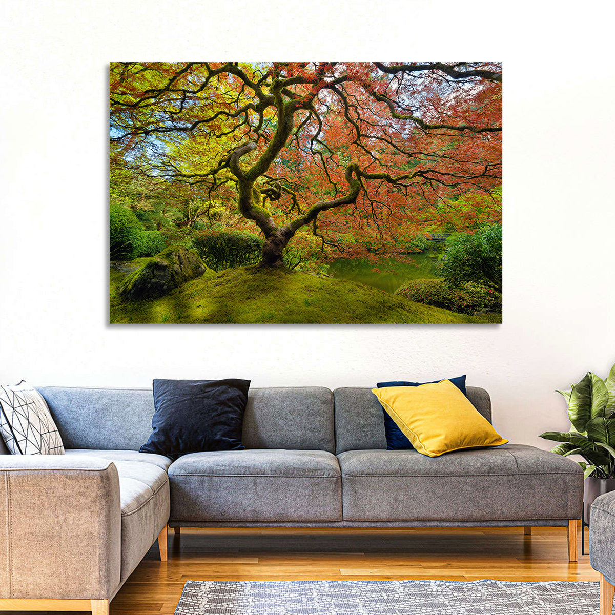 Gnarled Japanese Maple by Garden Pond Wall Art