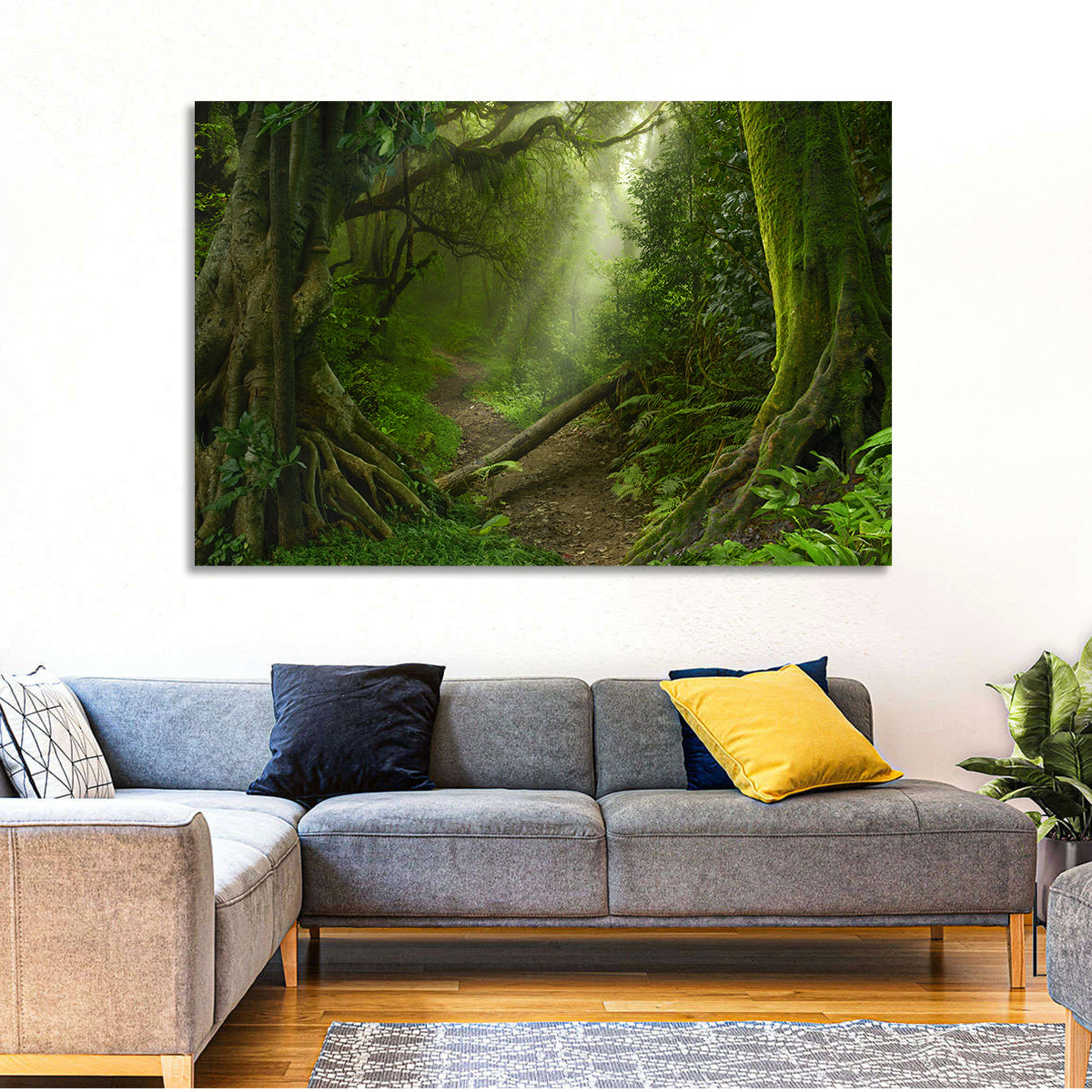 Moss-covered Rainforest Path Wall Art in a room, landscape