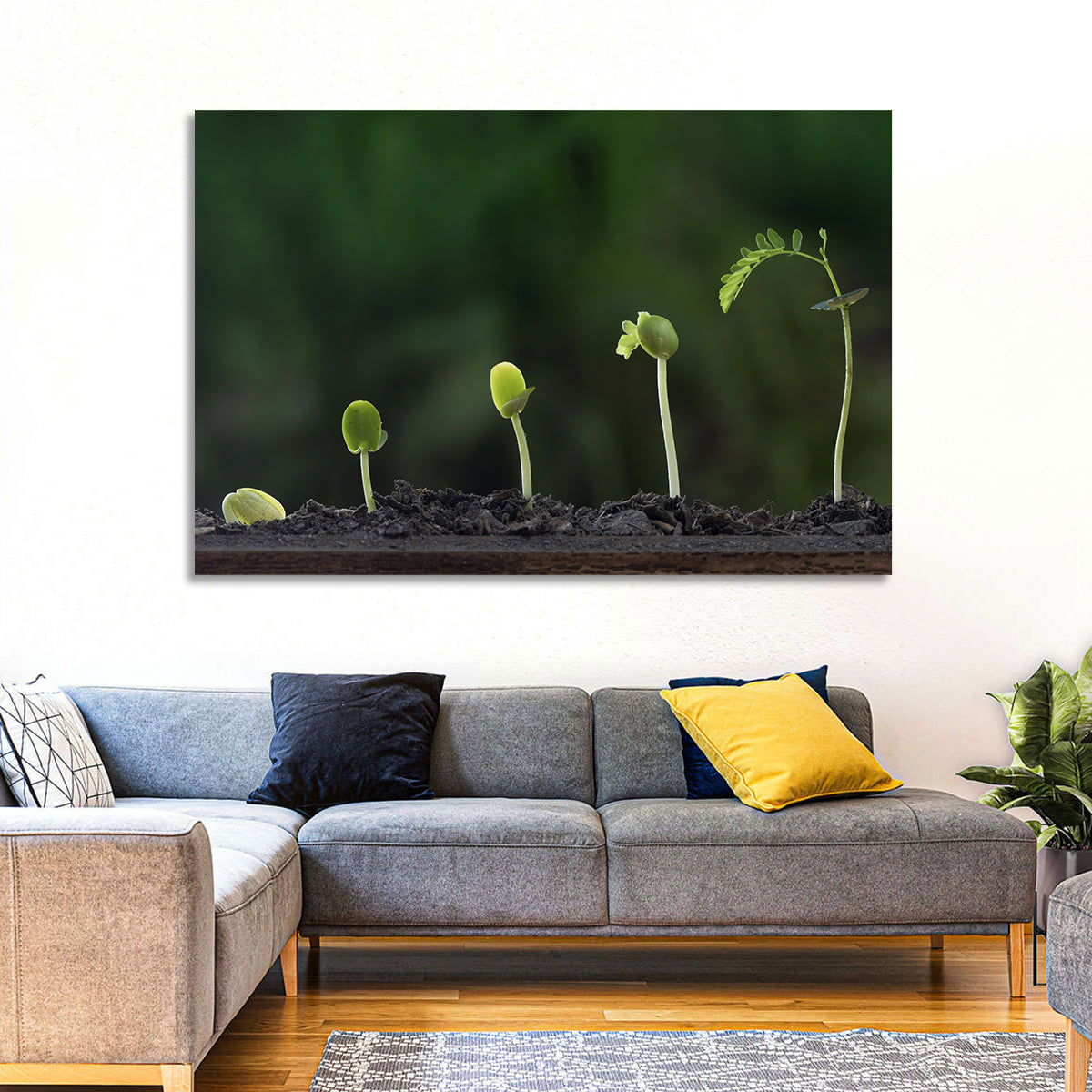Five-stage Plant Growth Wall Art