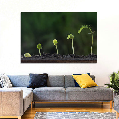 Five-stage Plant Growth Wall Art