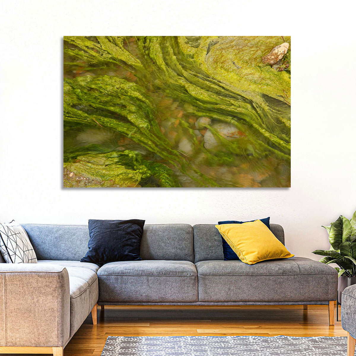 Macro Algae Stream Wall Art