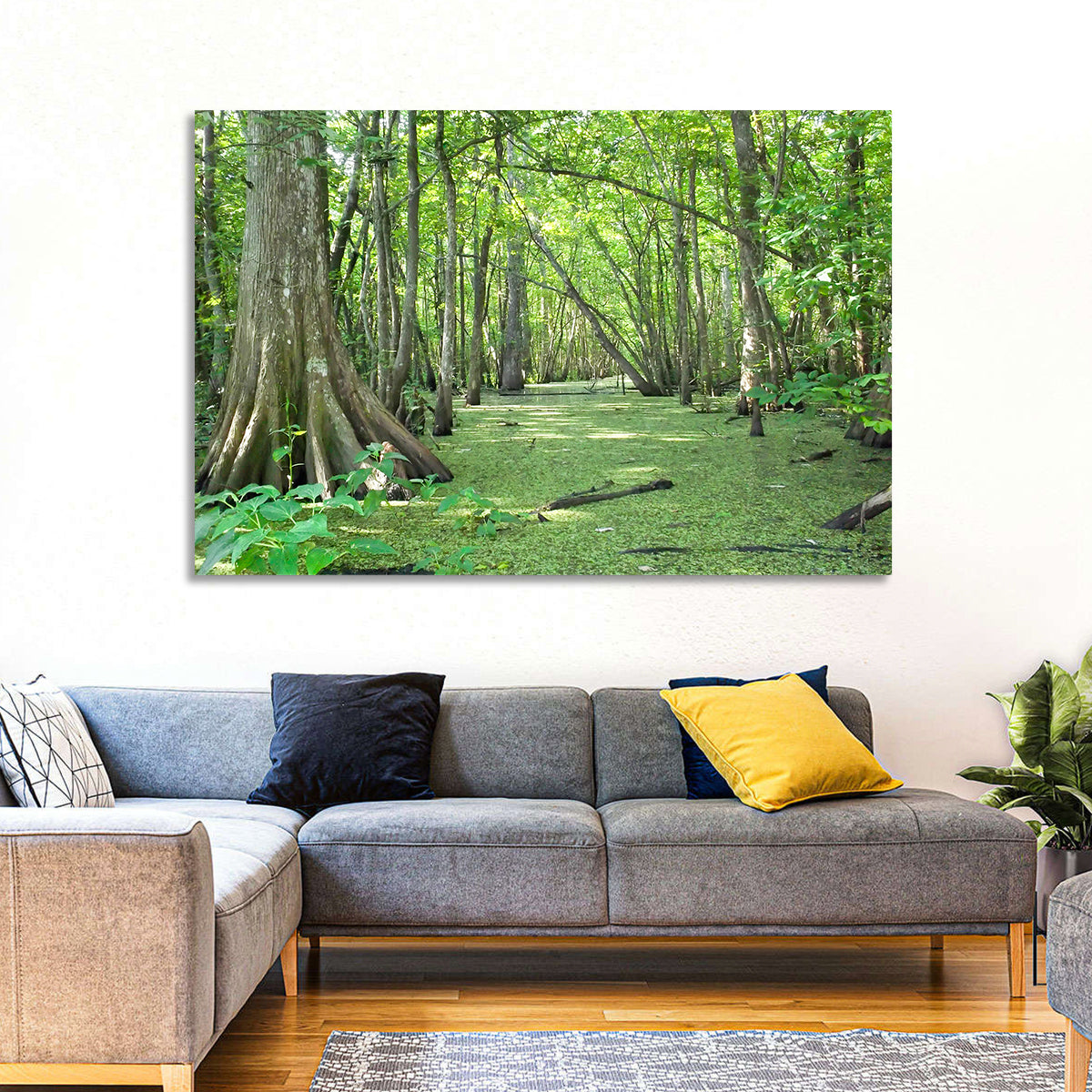 Summer Cypress Bayou, Louisiana Wall Art in a room, landscape