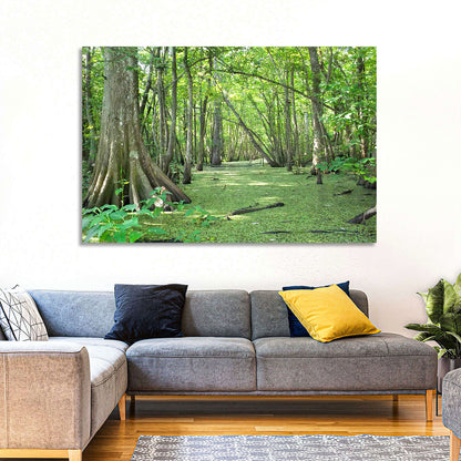 Summer Cypress Bayou, Louisiana Wall Art