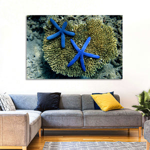 Blue Starfish Wall Art