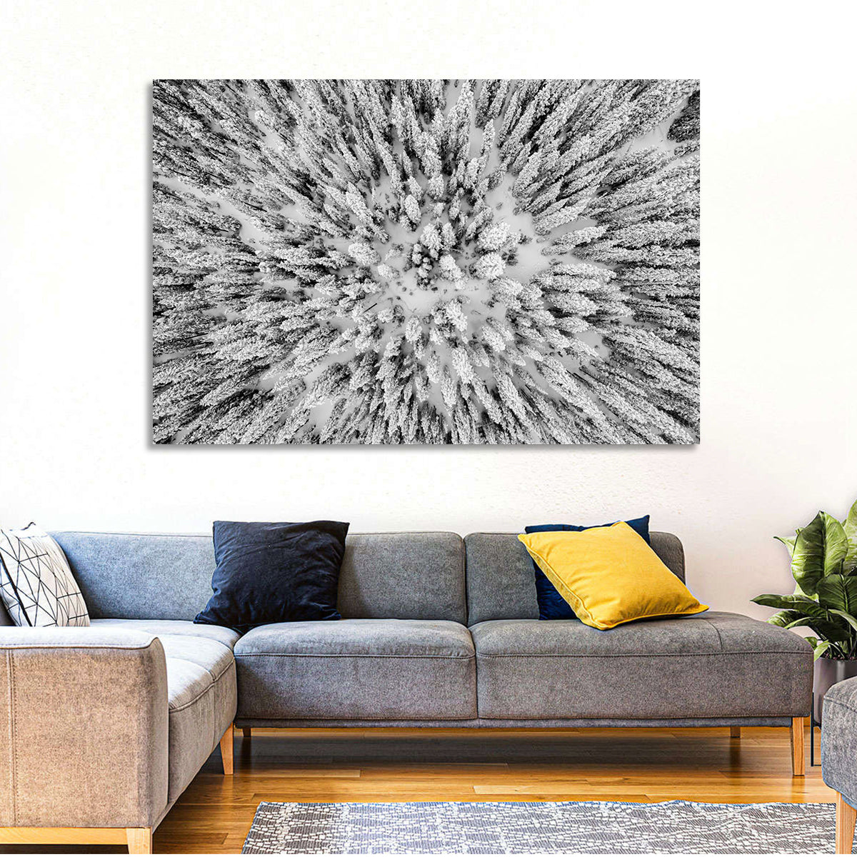 Snowy Aerial Forest Wall Art in a room, landscape