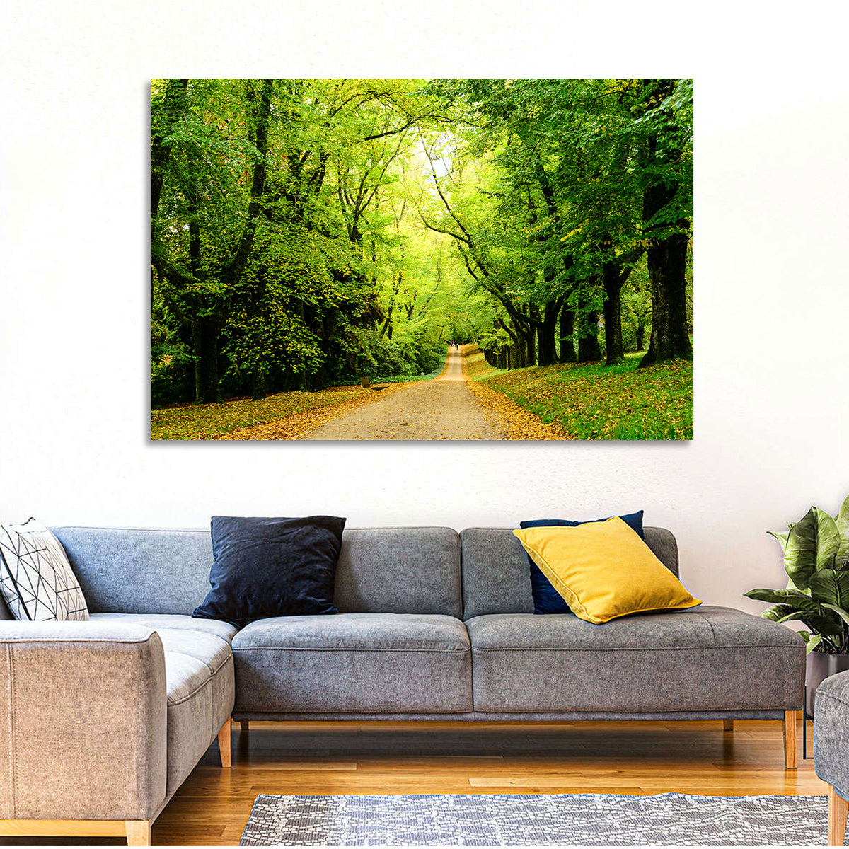 Sunlit Forest Pathway Wall Art in a room, landscape