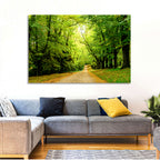 Sunlit Forest Pathway Wall Art