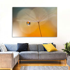 Dandelion Seed with Droplet Wall Art