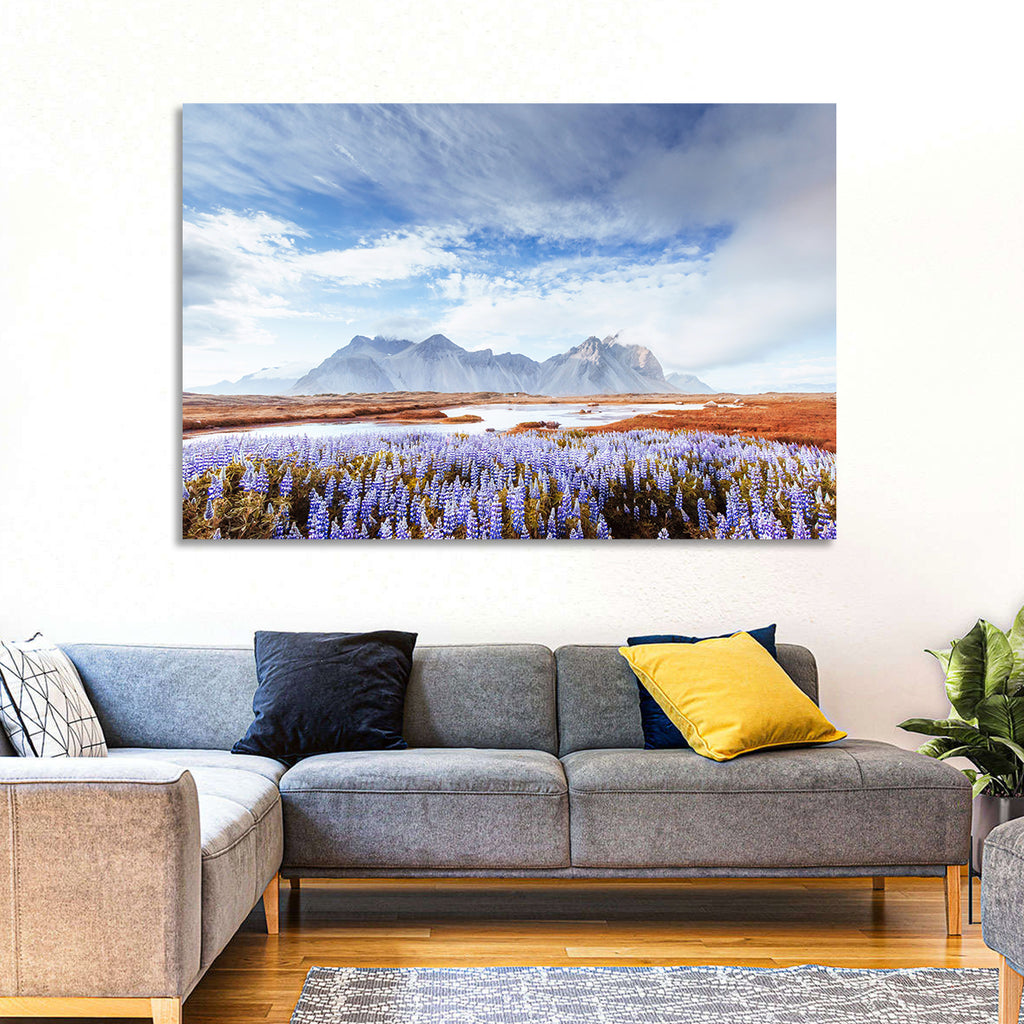 Lupine Fields at Vestrahorn Wall Art