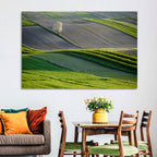 Springtime Polish Fields Wall Art