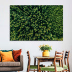 Aerial Conifer Canopy Wall Art
