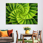 Spiral Aloe Succulent Wall Art