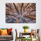 Misty Forest Canopy Wall Art