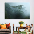 Misty Rainforest Canopy Wall Art