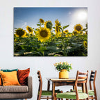 Backlit Sunflower Field Wall Art
