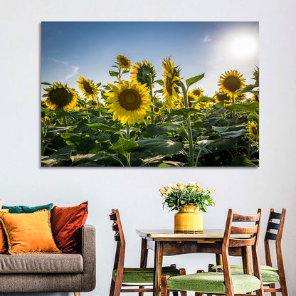 Backlit Sunflower Field Wall Art
