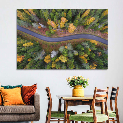 Aerial Autumn Forest Road Wall Art