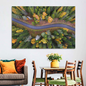 Summer Forest Road Wall Art