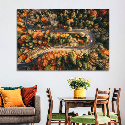 Aerial Winding Autumn Forest Road Wall Art