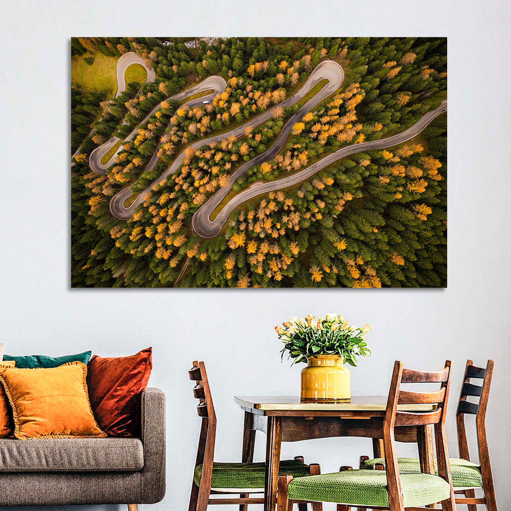 Aerial Curvy Forest Road Wall Art