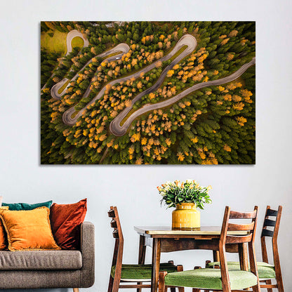 Aerial Curvy Forest Road Wall Art