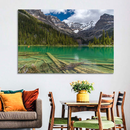 Lake O'hara Reflection Wall Art